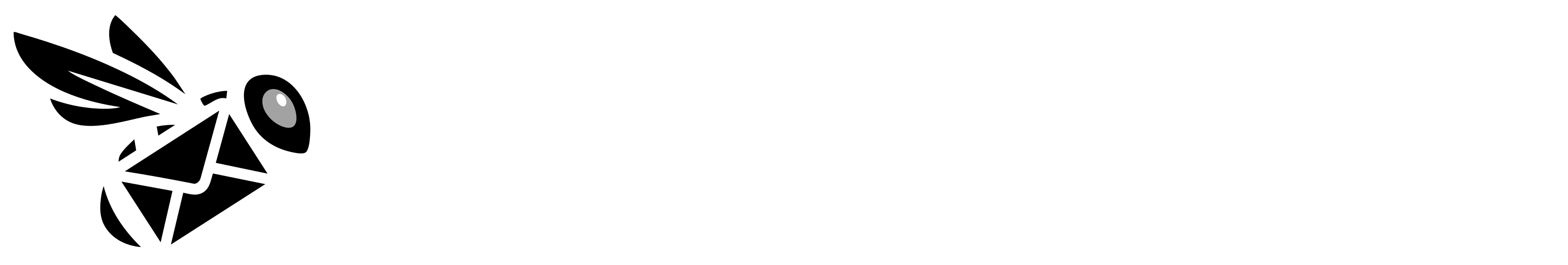 BeeMailer